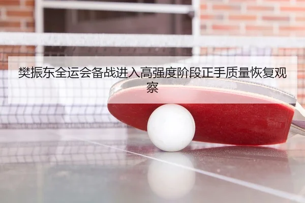 樊振东全运会备战进入高强度阶段正手质量恢复观察