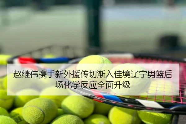 赵继伟携手新外援传切渐入佳境辽宁男篮后场化学反应全面升级