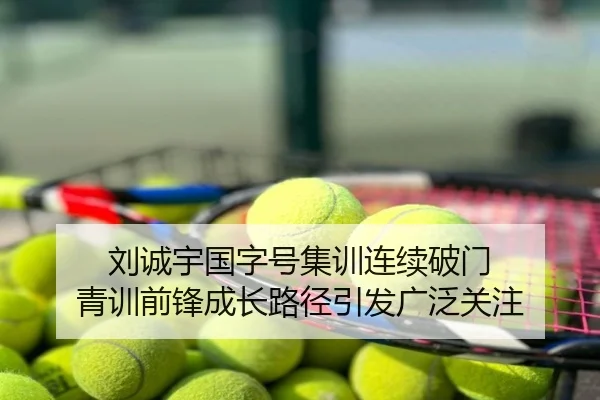 刘诚宇国字号集训连续破门 青训前锋成长路径引发广泛关注